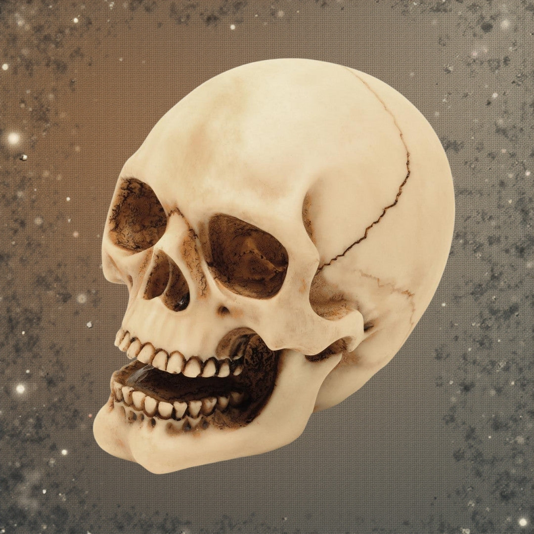 Schedelfiguur 10 cm met graveermogelijkheid - handgeschilderde decoratie van polyresin als cadeau voor liefhebbers van gothic- en darkstijl