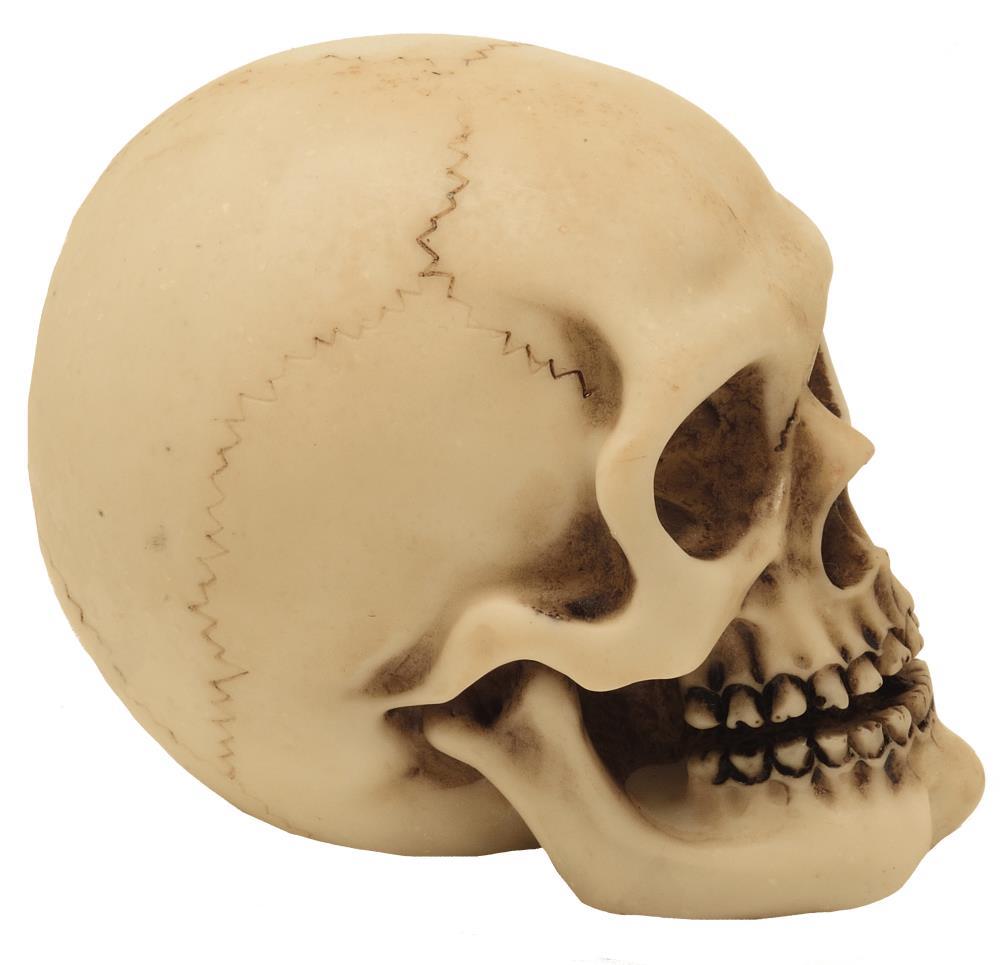 Schedelfiguur van polyresin, personaliseerbaar met gravure