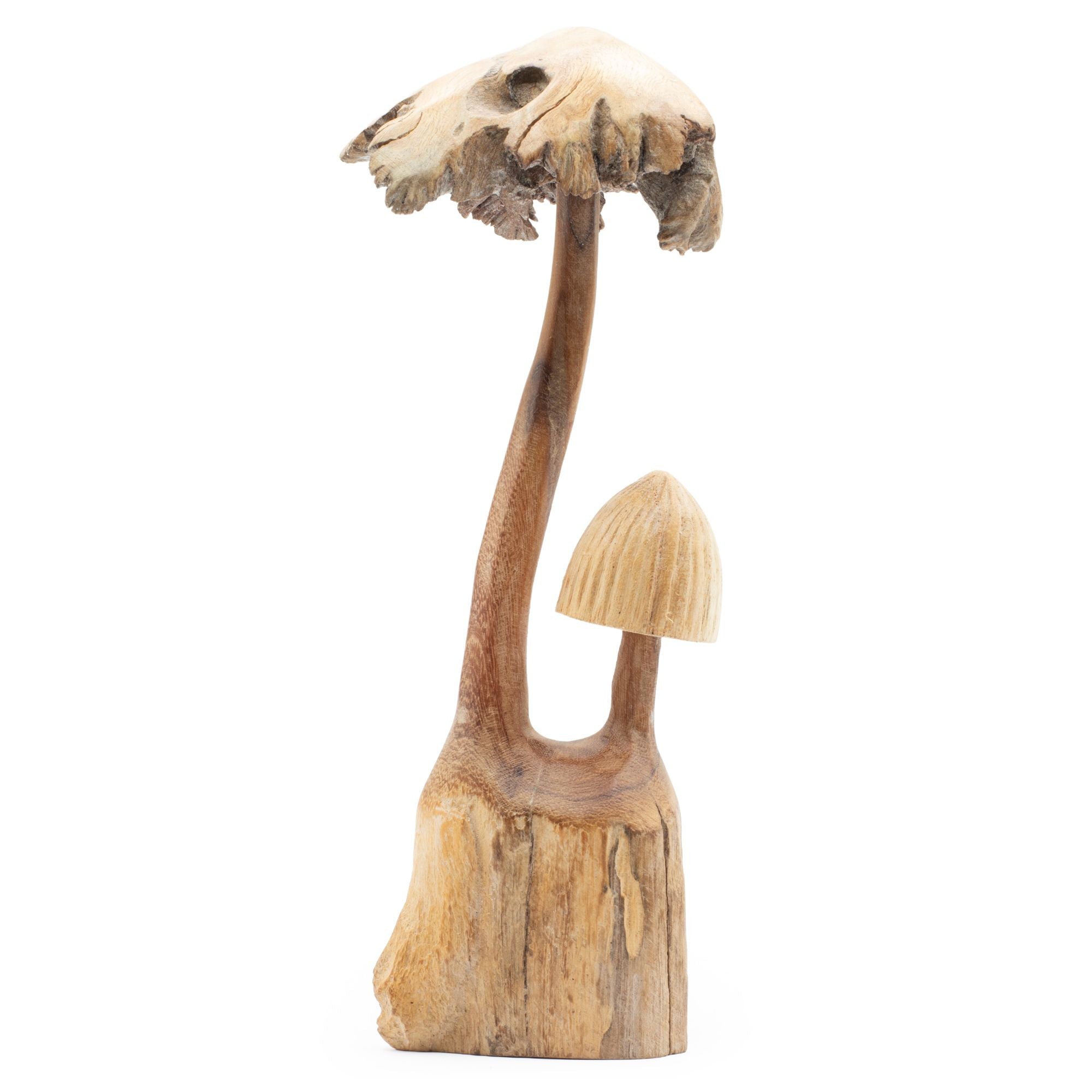 Handgemaakte sculptuur van parasiet hout