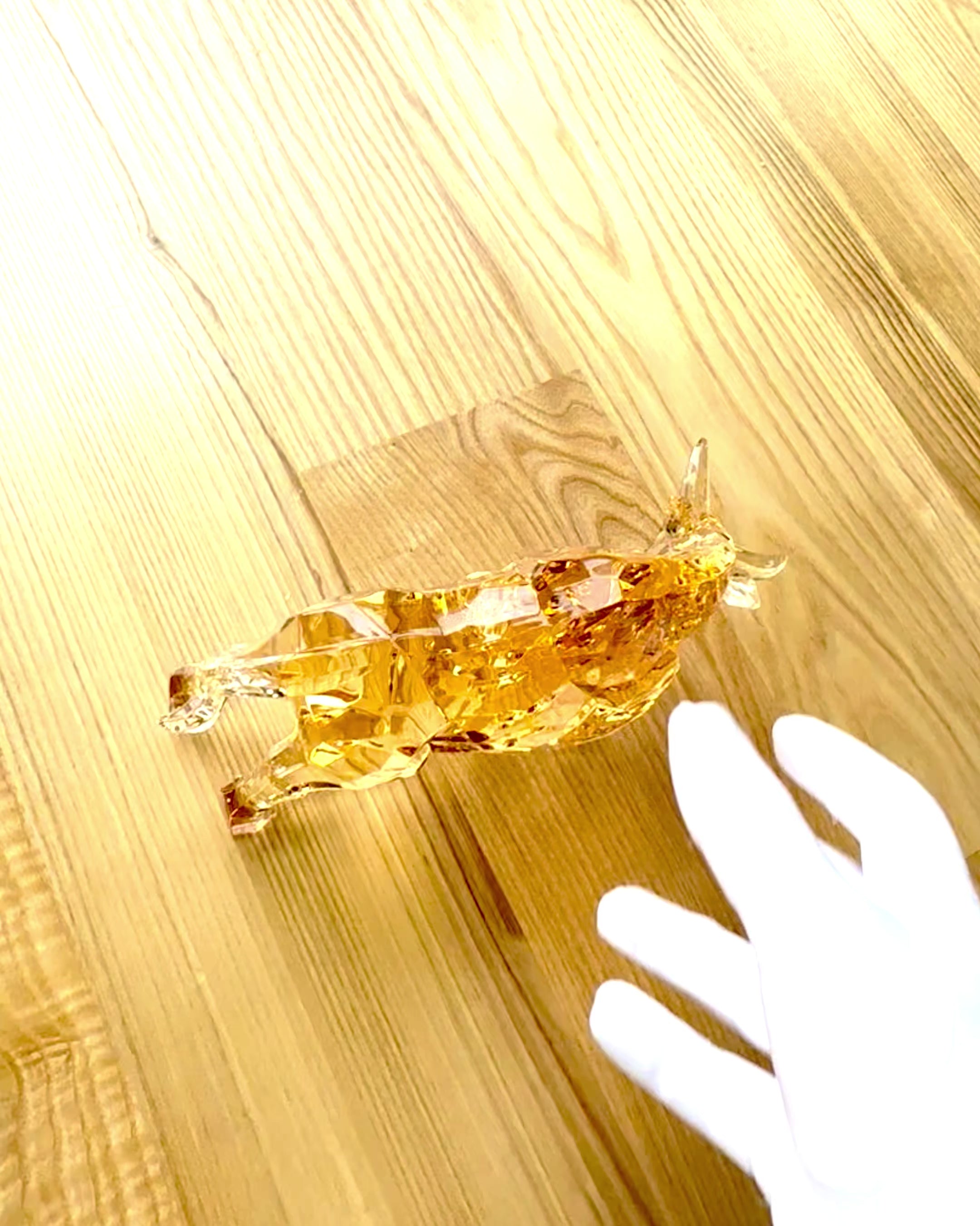 Beeld "Gouden Stier" van Hars, transparant design, mogelijkheid tot personalisatie