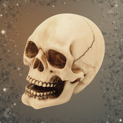 Schedelfiguur 10 cm met graveermogelijkheid - handgeschilderde decoratie van polyresin als cadeau voor liefhebbers van gothic- en darkstijl
