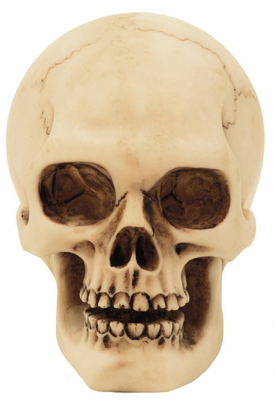 Schedelfiguur van polyresin, personaliseerbaar met gravure