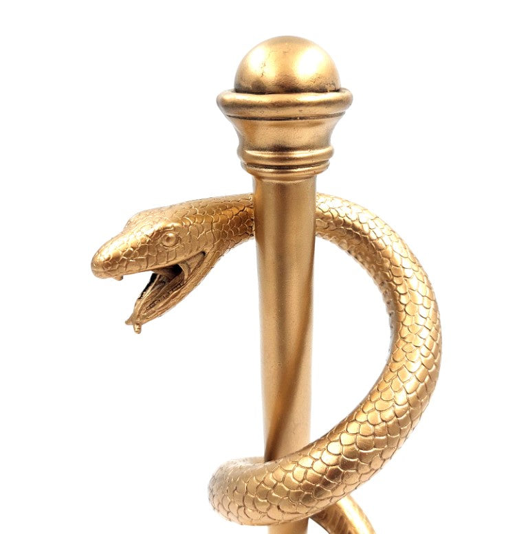 Gouden esculaap 30cm met mogelijkheid tot personalisatie met gravure
