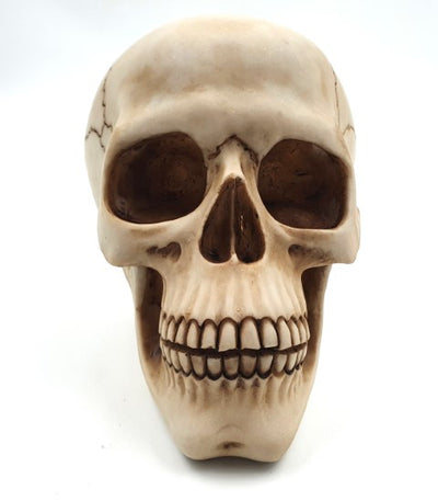 Decoratieve schedelfiguur 15 cm van polyresin, personaliseerbaar met gravure