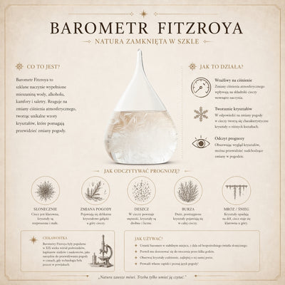 FitzRoy stormbarometer-globe met mogelijkheid tot graveren - elegante bureaudecoratie van glas en hout, hoogte 18,5 cm