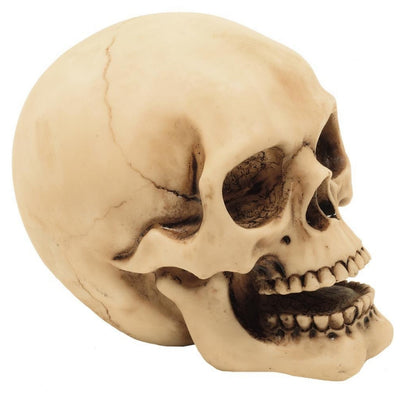 Schedelfiguur 10 cm met graveermogelijkheid - handgeschilderde decoratie van polyresin als cadeau voor liefhebbers van gothic- en darkstijl