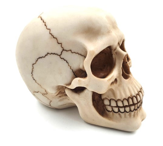 Decoratieve schedelfiguur 15 cm van polyresin, personaliseerbaar met gravure