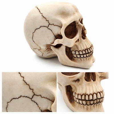 Decoratieve schedelfiguur 15 cm van polyresin, personaliseerbaar met gravure