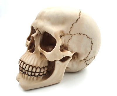 Decoratieve schedelfiguur 15 cm van polyresin, personaliseerbaar met gravure