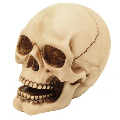Schedelfiguur 10 cm met graveermogelijkheid - handgeschilderde decoratie van polyresin als cadeau voor liefhebbers van gothic- en darkstijl