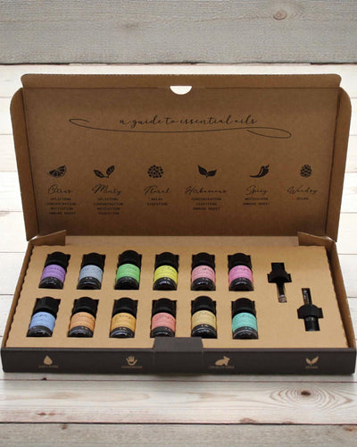 Herfstige Harmonie van de Natuur – Luxueuze Set van 12 Etherische Oliën 5 ml met Druppelpipetten