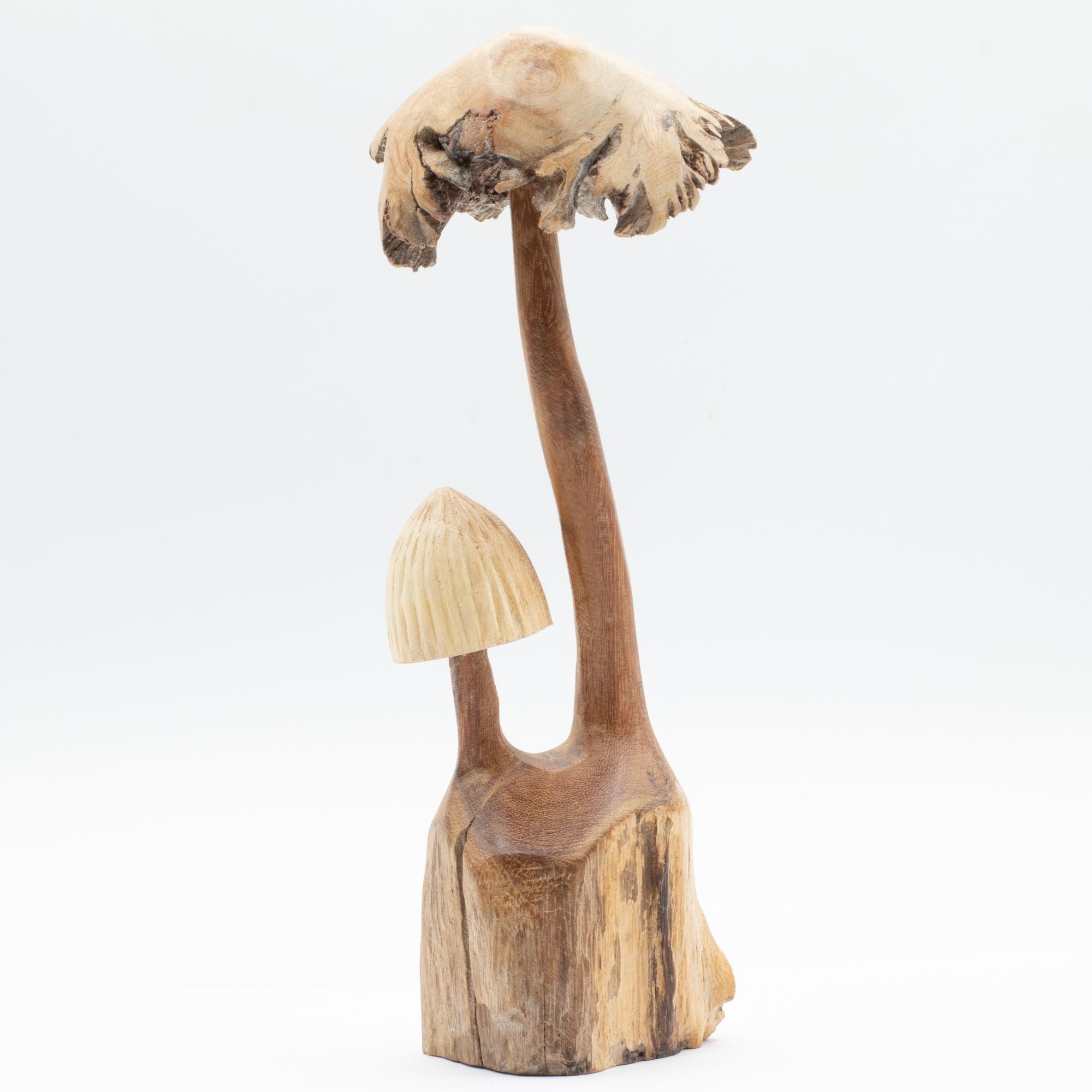 Handgemaakte sculptuur van parasiet hout