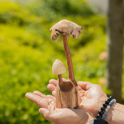 Handgemaakte sculptuur van parasiet hout