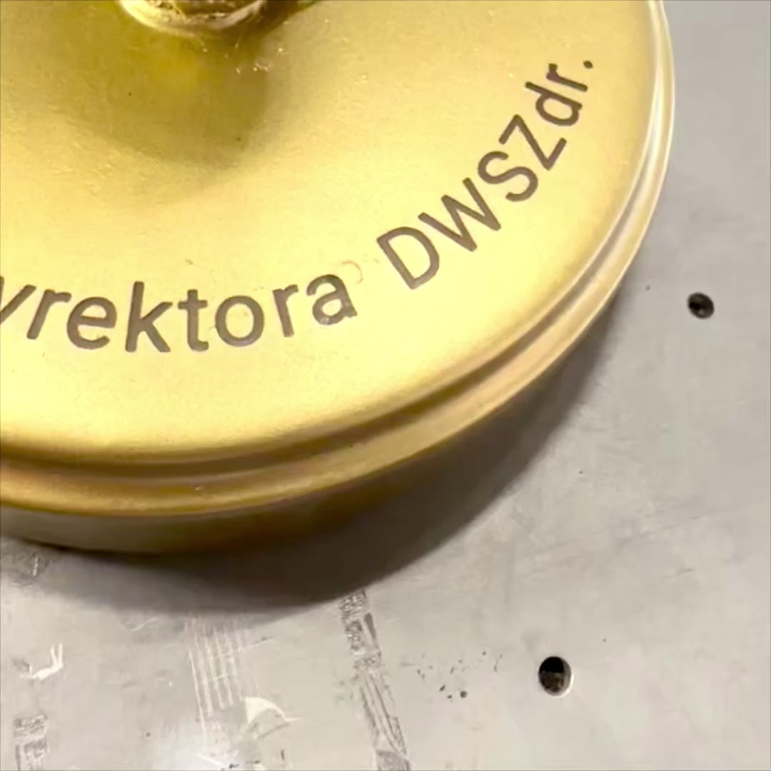 Gouden esculaap 30cm met mogelijkheid tot personalisatie met gravure