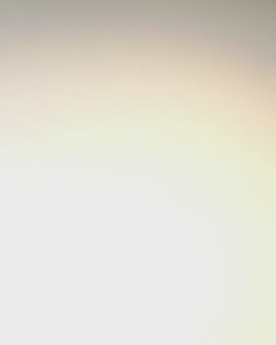 Creatieve Metalen Boekenlegger Retro Vintage Boekenlegger - Veer en Vlinder in Barokstijl