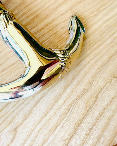 Handgesneden Wandelstok, voor wandelen "Koninklijke Wandelaar" in bruine kleur met gouden versieringen